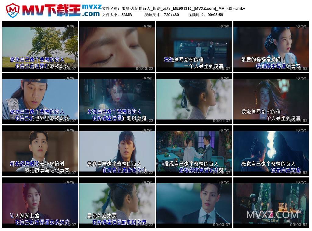 玺晨-悲情的诗人_国语_流行_ME901315